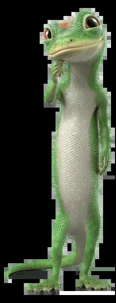 Image result for GEICO Gecko Football