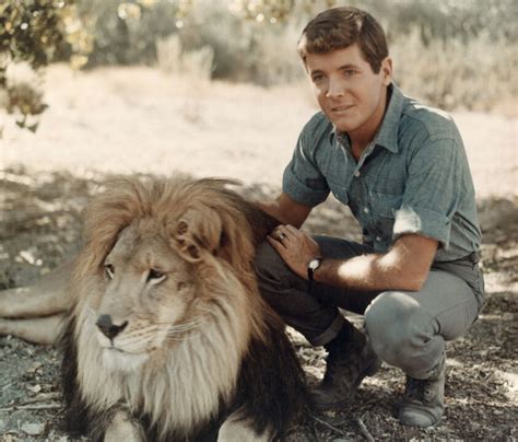 Image result for Dakdari GUI