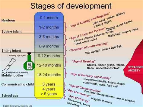 Image result for Growth and Development Chart