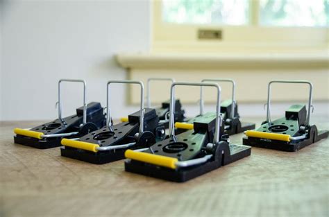 Cool Mouse Traps に対する画像結果