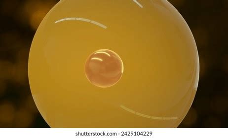 Toradh íomhá ar Mother Cell