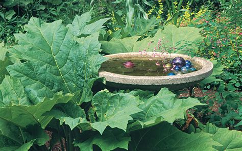 Image result for Add Water and Watch It Grow