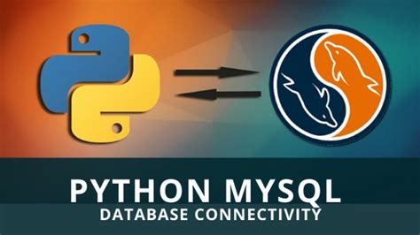 Image result for How to Conenct Python to Database