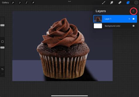 Image result for Procreate Portrait Outline