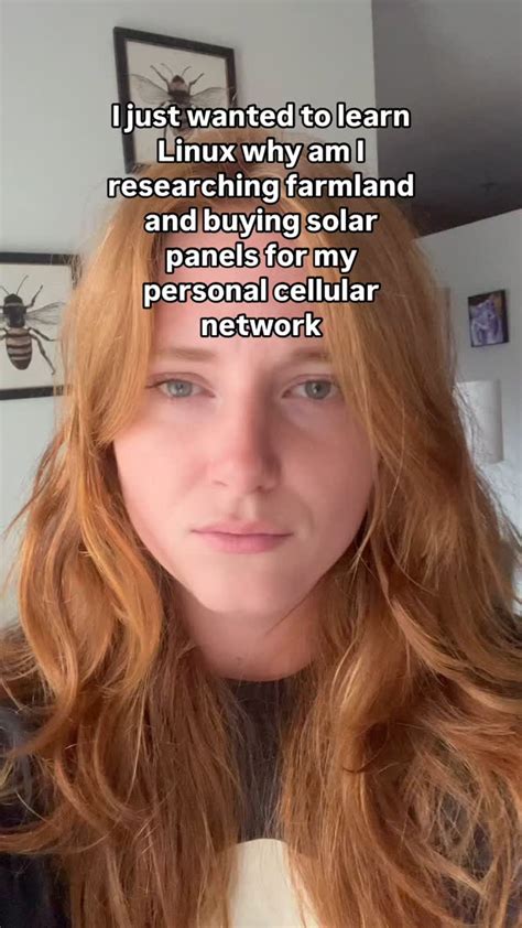 Toradh íomhá ar How to Go Back to Root in Linux