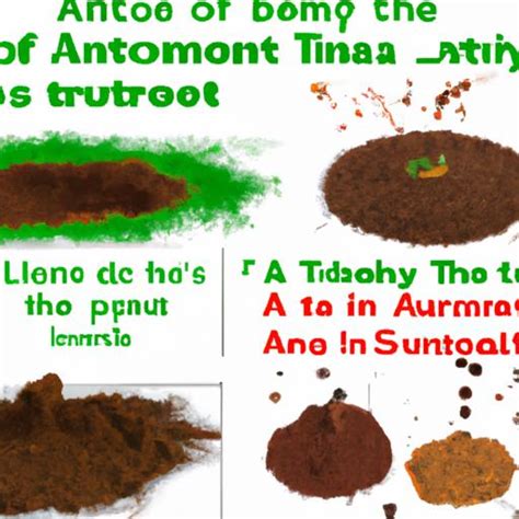 Image result for Ant Tunnels