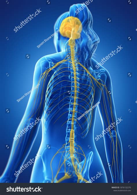 Afbeeldingsresultaten voor Computer System with a Lock