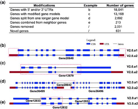 Image result for Protein Coding Gene Number