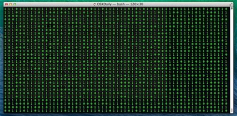 Image result for Binary Code Terminal