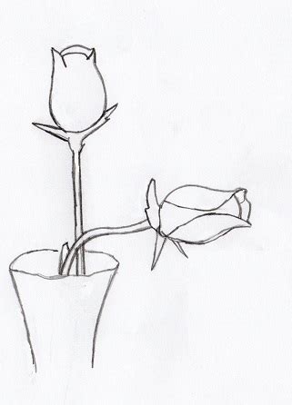 Image result for Contour Drawing Objects