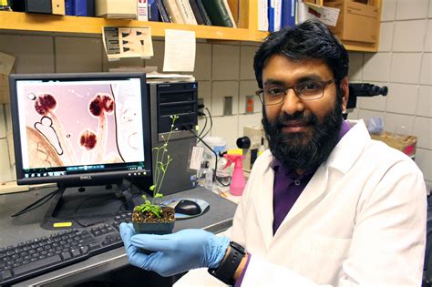 Afbeeldingsresultaten voor Plant Mutations