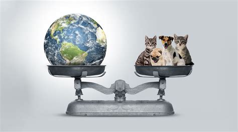 Image result for Geometric Deep Learning