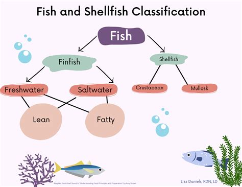 Zoological Hierarchy of Fish に対する画像結果