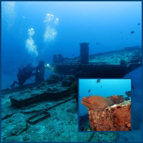 Image result for Artificial Reef