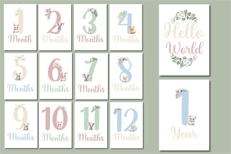 Afbeeldingsresultaten voor Baby Milestone Cards