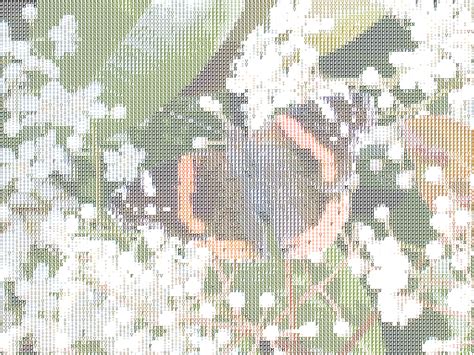 Image result for ASCII Characters Colored Text