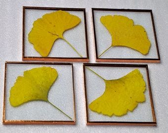 Image result for Double Sided Glass Frame A4