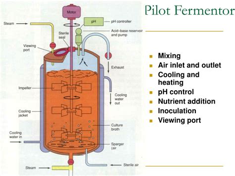 Image result for Batch Fermanor