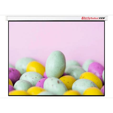 Image result for Best Motorized Projection Screen