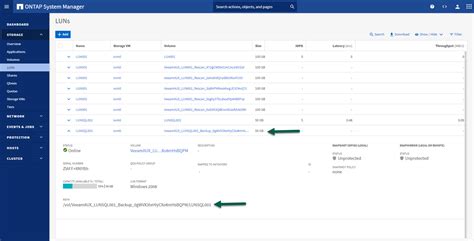 Image result for Storage Array Snapshot