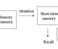 Image result for Multi-Store Memory Model Poster
