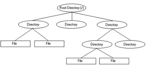 Image result for Types of Files in Unix