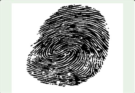 Image result for Bitmap Print