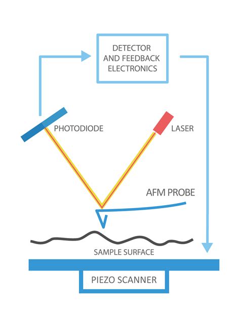 Afbeeldingsresultaten voor Atomic Force Microscope Side View