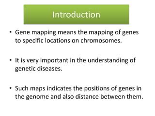 Image result for Simple Genetic Map