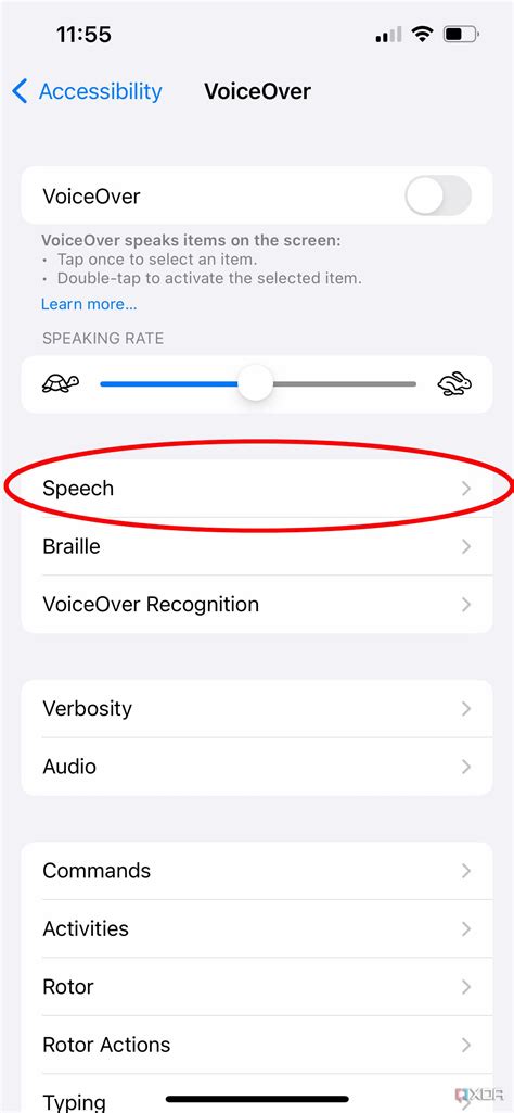 Image result for Voice Over iPhone