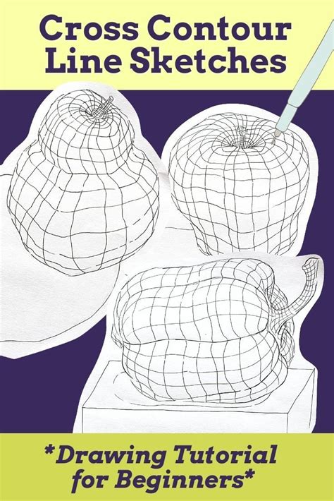 Image result for Cross Contour Drawing Lesson
