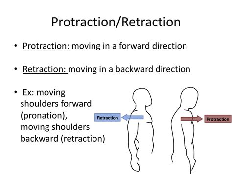 Image result for Protraction