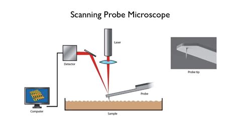 Image result for Scanning Probe Microscope Diagram