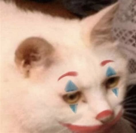 Afbeeldingsresultaten voor Cursed Discord Profile