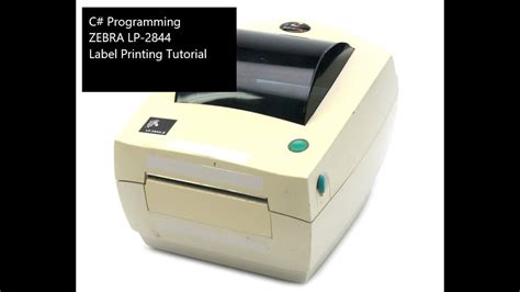 Image result for Zebra Program