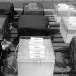 Afbeeldingsresultaten voor Random Distribution in Biology Examples