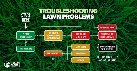 Image result for How to Identify Lawn Problems