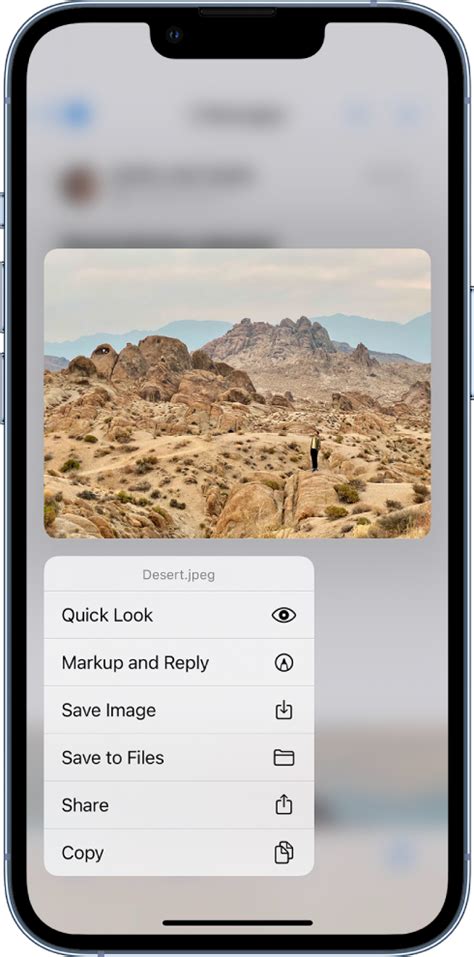 Toradh íomhá ar Download File From Email iOS