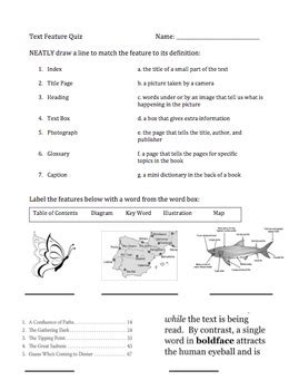 Image result for Text Features Test