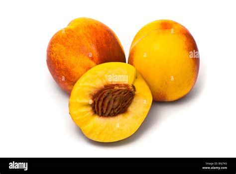 Image result for Nectaries Photo