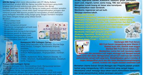 Afbeeldingsresultaten voor Brosur MSI