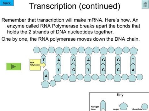 DNA Tutorial に対する画像結果