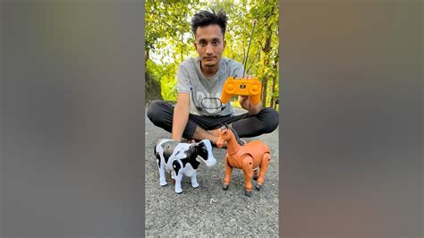 Image result for Wireless Remote Control Cow Sound