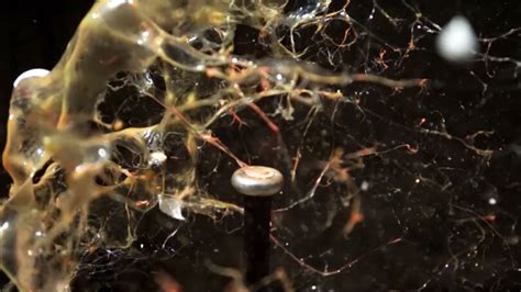 Image result for Exploding Stuff