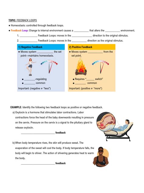 Feedback Loop Worksheet に対する画像結果