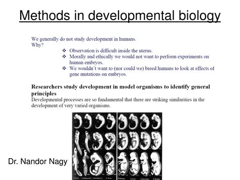 Image result for Development Biological Activity Method PPT