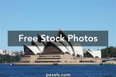 Toradh íomhá ar Free Shell Design