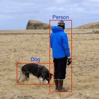 Image result for Identifying Objects