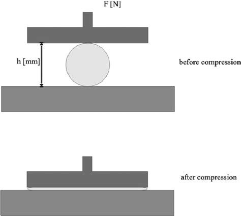Capsule Compression Machine に対する画像結果