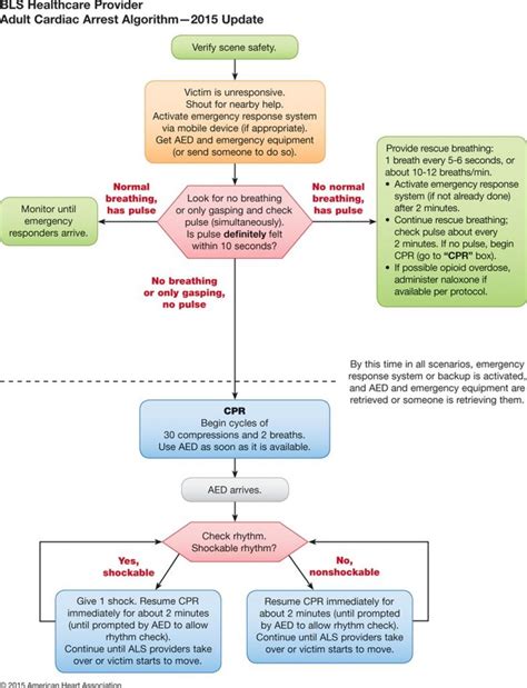 Afbeeldingsresultaten voor Adult Stroke Algorithm